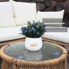 6PCS Outdoor Patio Balcony Natural Color Wicker Sofa Chair Set with Beige Cushion And Round Tempered Glass Table